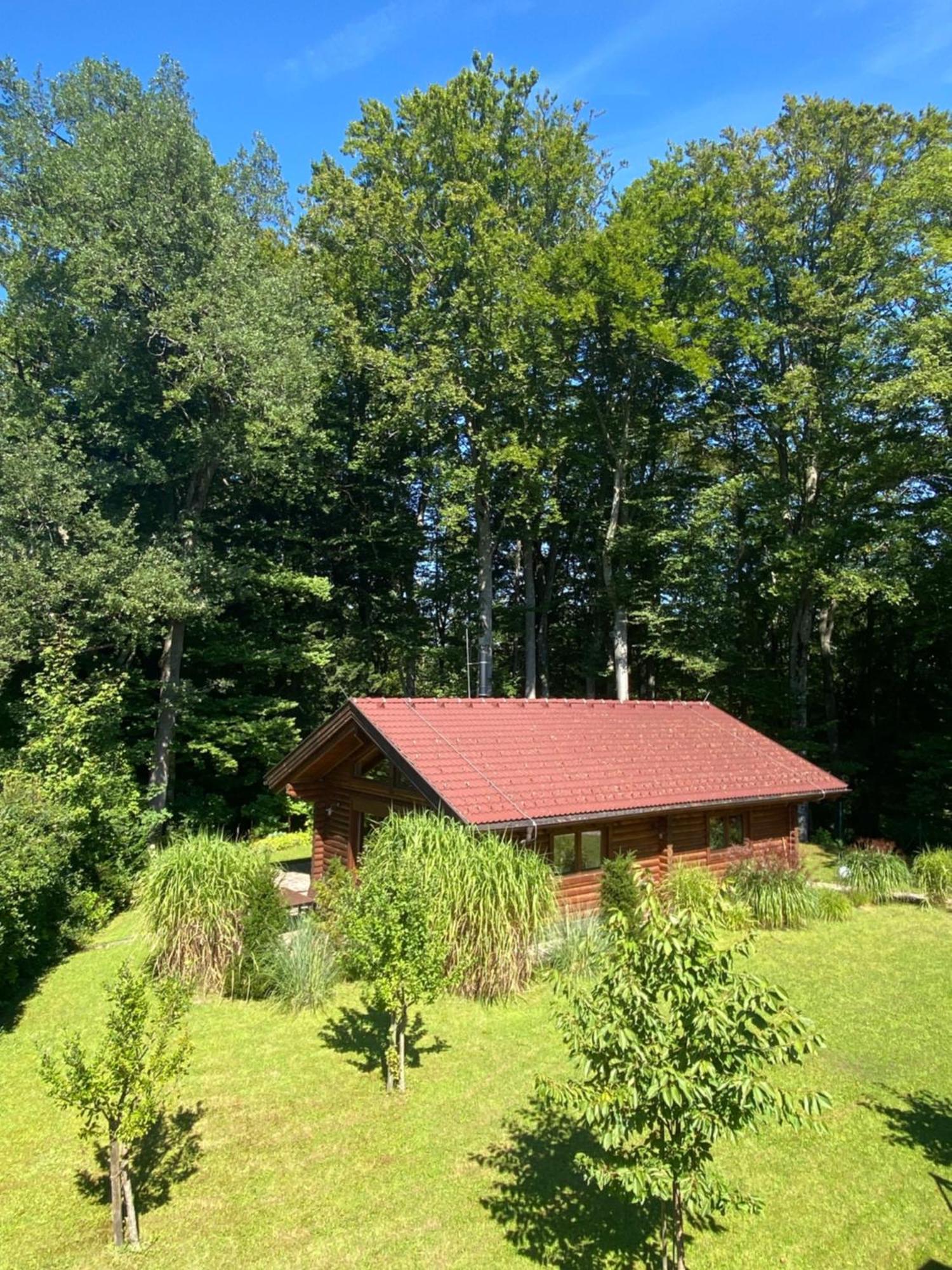 Villa Huette Am Wald Hof bei Salzburg Esterno foto